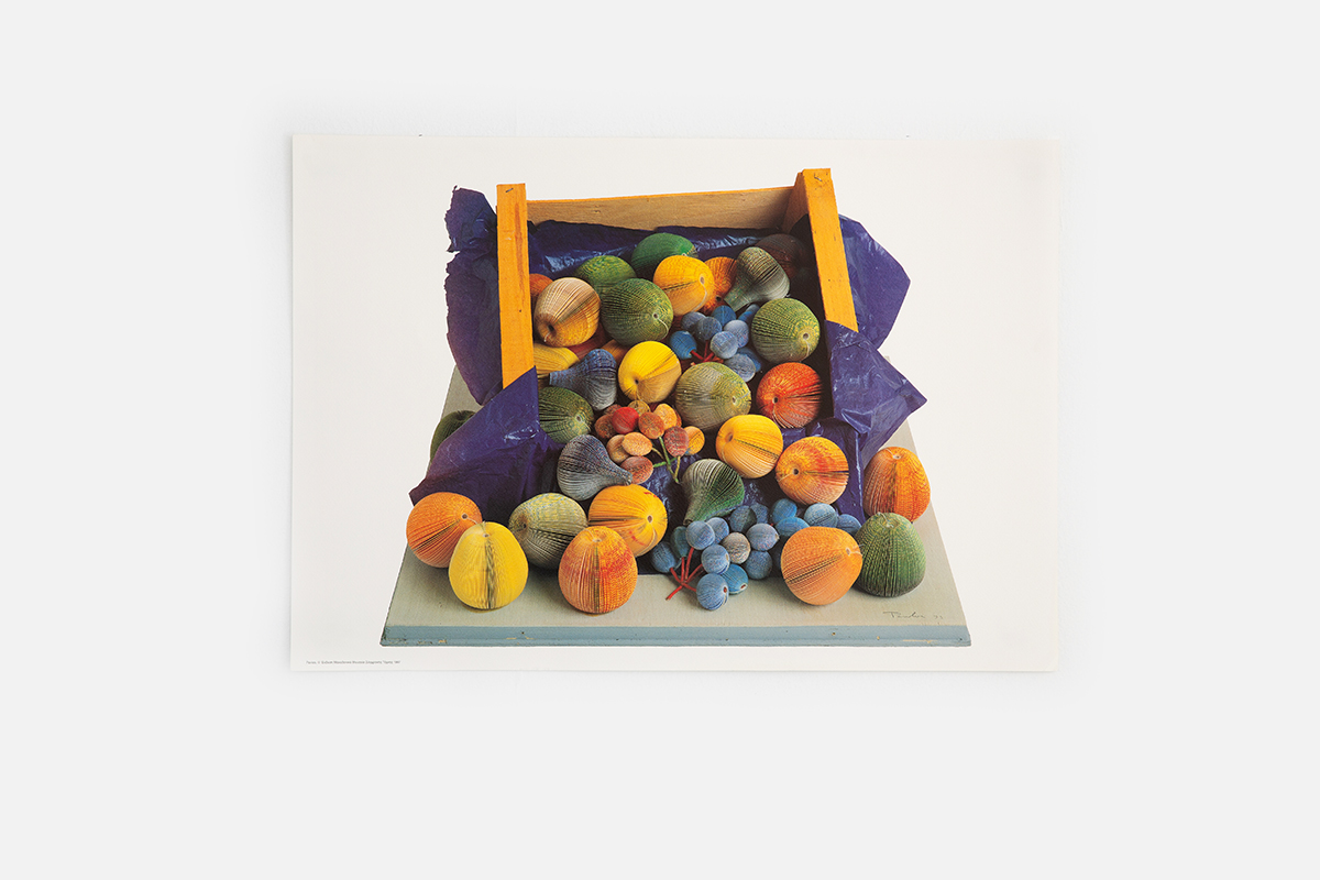 "Fruits" Poster Pavlos