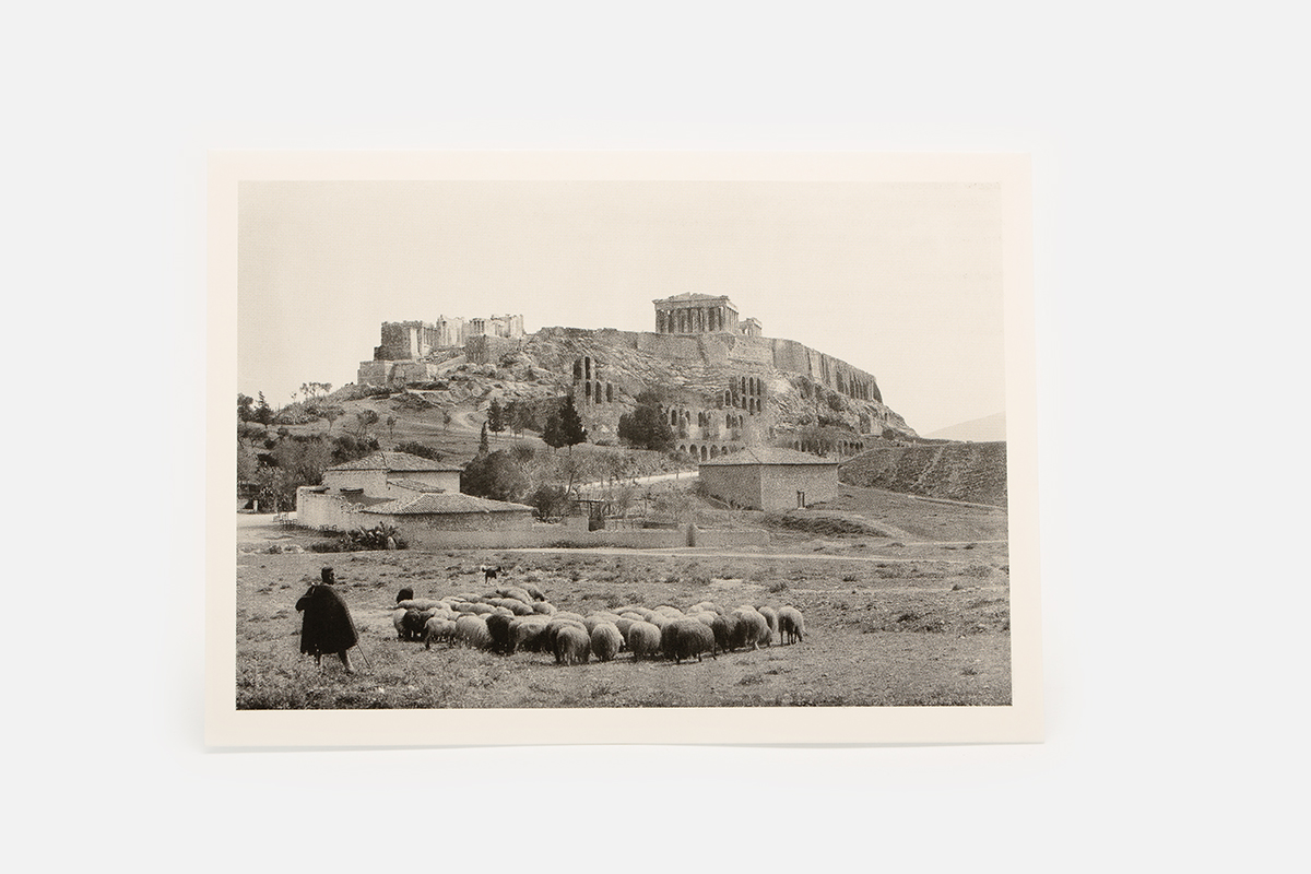 Postcard "Sheep under the Acropolis" Boissonnas